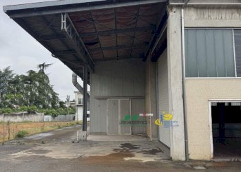 wIMG_1072(2).jpg - Commercial Premises strada provinciale, Sala Baganza - photo 5