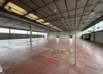 IMG_1064(2).JPG - Commercial Premises strada provinciale, Sala Baganza - photo 9