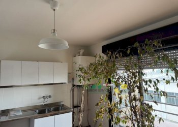 IMG_1054(2).JPG - Commercial Premises strada provinciale, Sala Baganza - photo 13