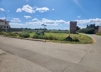 20250418_114946.jpg - Terreno edificabile Villasor - foto 1