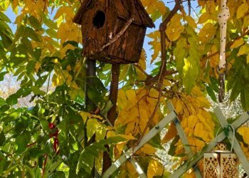 IMG-20251104-WA0109.jpg - Casa semi indipendente Bagnone - foto 10