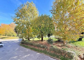 14.jpeg - Appartamento Pavone Canavese - foto 21