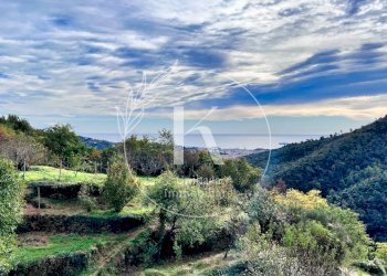 IMG_0579.jpeg - Villa Via Ciantagalletto, Savona - photo 13