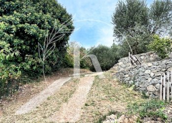 IMG_0594.jpeg - Villa Via Ciantagalletto, Savona - photo 24