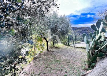 IMG_0597.jpeg - Villa Via Ciantagalletto, Savona - photo 26