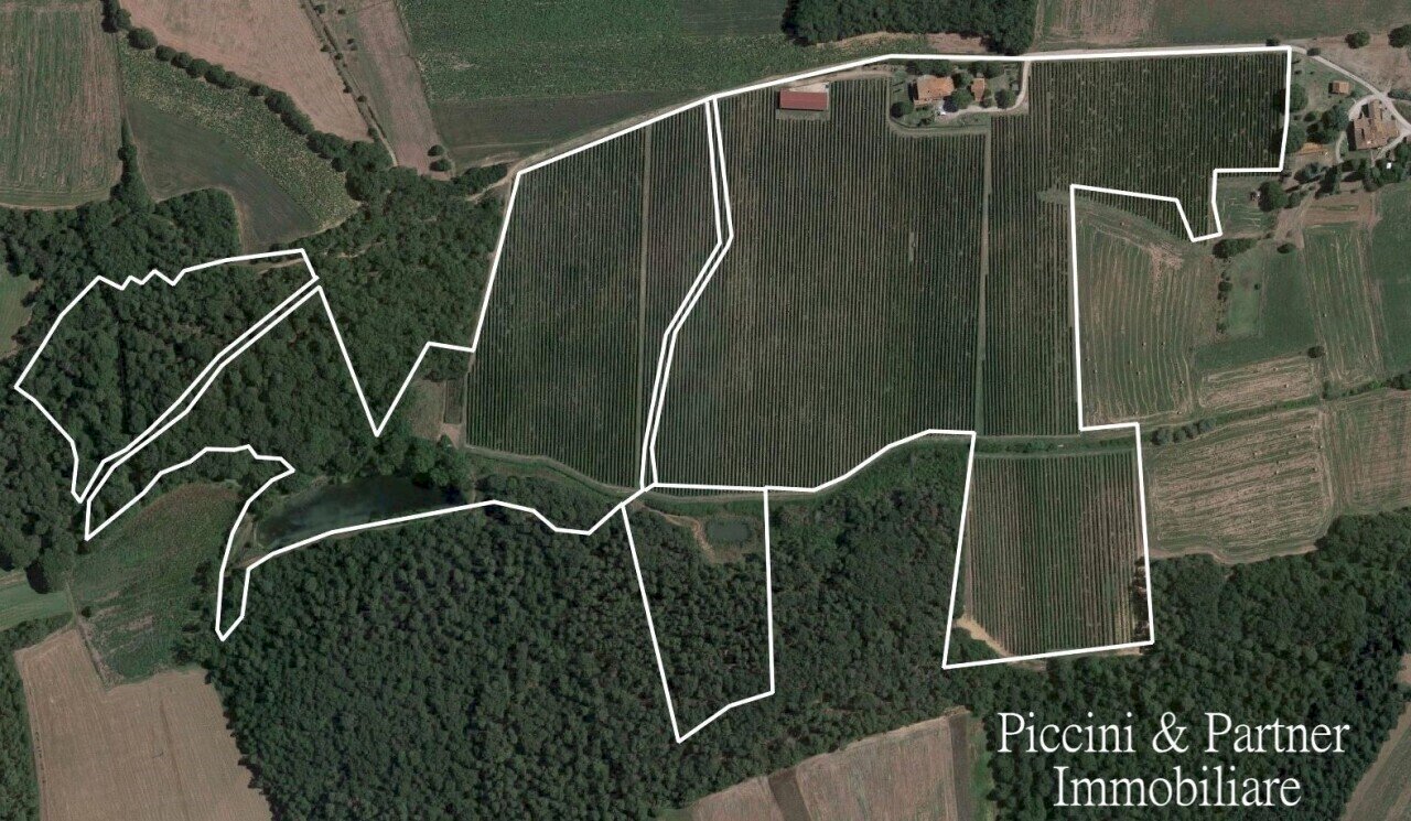 02.jpg - Casale Località Croce 68, Castiglione del Lago - foto 2