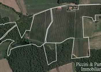 02.jpg - Casale Località Croce 68, Castiglione del Lago - foto 2