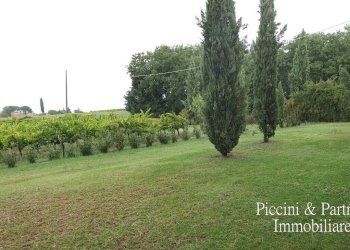 09.jpg - Casale Località Croce 68, Castiglione del Lago - foto 9