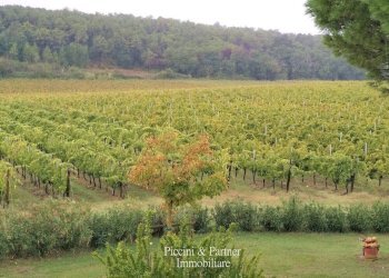 17.jpg - Casale Località Croce 68, Castiglione del Lago - foto 17