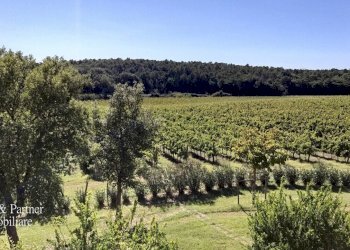 20.jpg - Casale Località Croce 68, Castiglione del Lago - foto 20