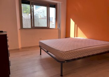 IMG_4923.jpg - Independent house Viale della Vittoria, Cecina - photo 5