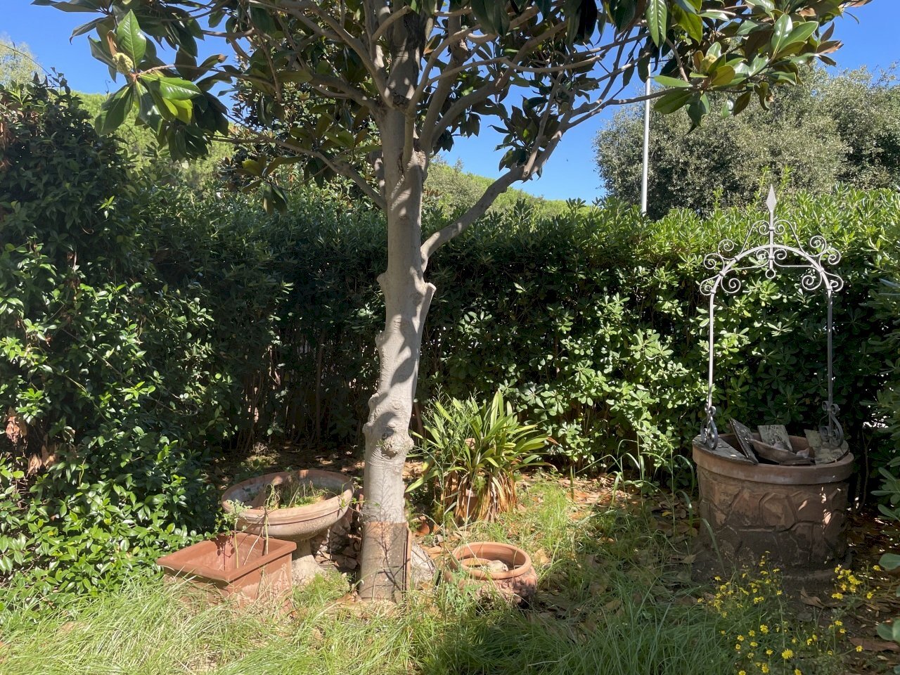 IMG_5481.jpg - Casa indipendente Via Perugia, Cecina - foto 2