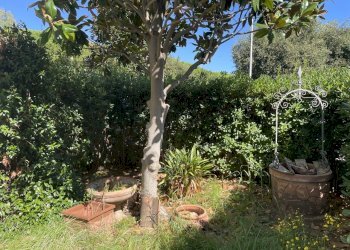 IMG_5481.jpg - Independent house Via Perugia, Cecina - photo 2