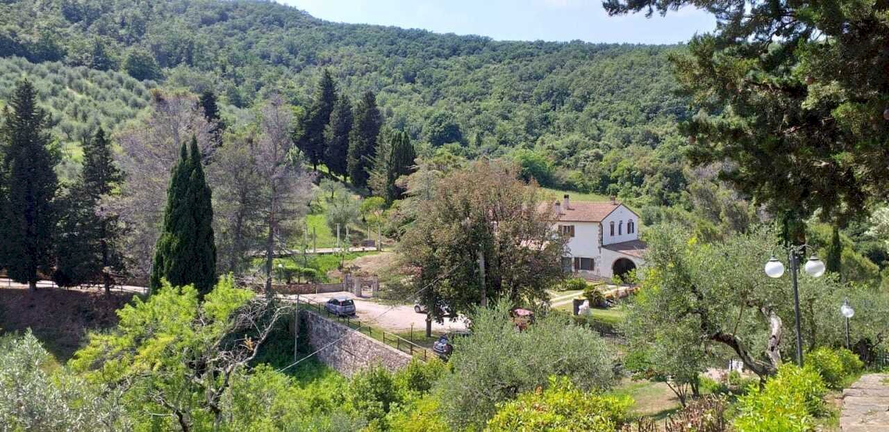 PHOTO-2023-07-28-11-14-30 (1).jpg - Villa via san giusto, Livorno - foto 3