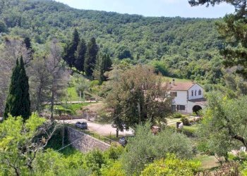 PHOTO-2023-07-28-11-14-30 (1).jpg - Villa via san giusto, Livorno - foto 3