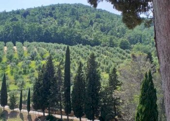 PHOTO-2023-07-28-11-14-30.jpg - Villa via san giusto, Livorno - foto 5