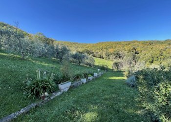 IMG_2712.jpg - Villa via san giusto, Livorno - foto 12