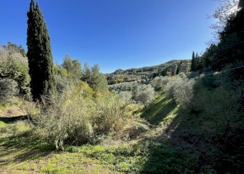 IMG_2725.jpg - Villa via san giusto, Livorno - foto 23