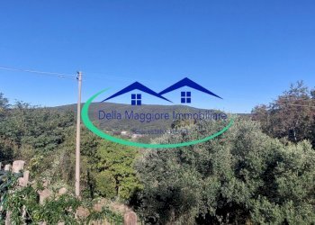 20251103_125254.jpg - Casa indipendente Via della Valle Benedetta, Livorno - foto 29