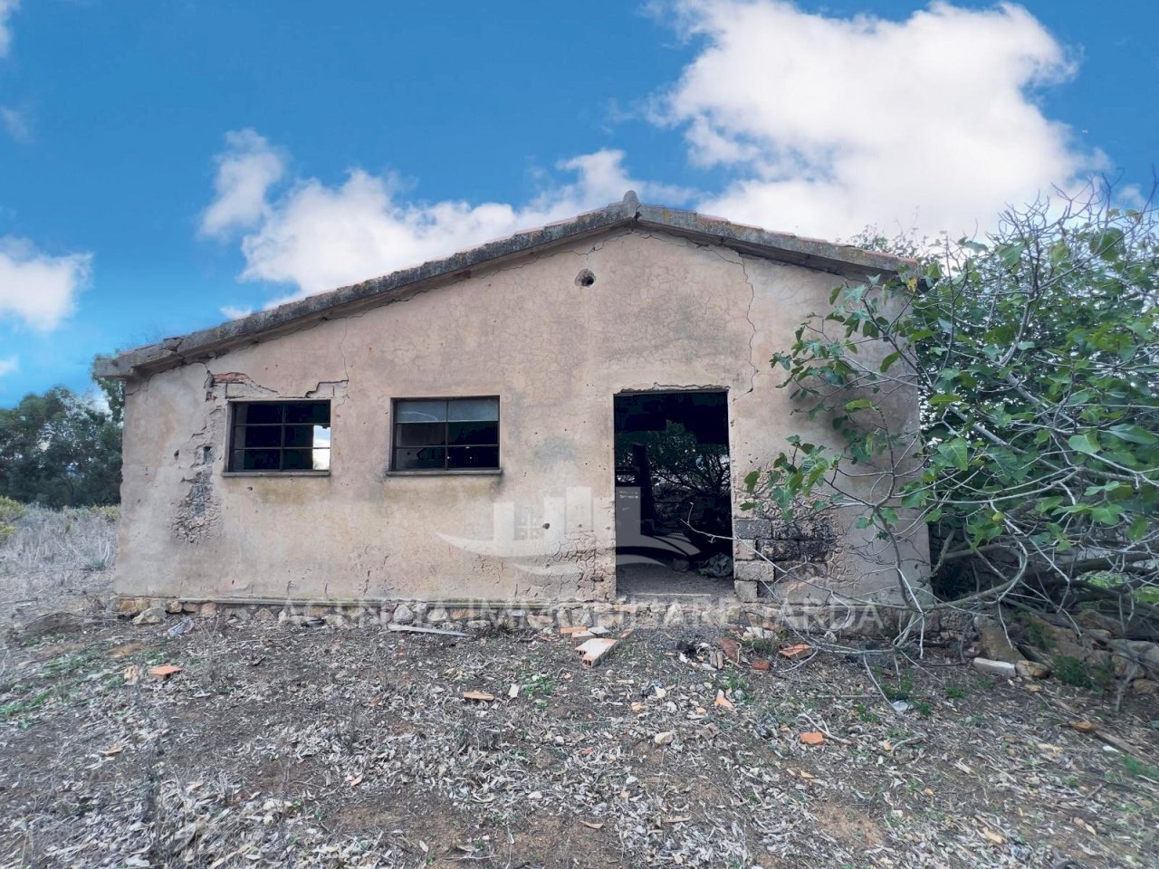 WhatsApp Image 2025-11-04 at 10.22.21 (1).jpeg - Casale Alghero - foto 3