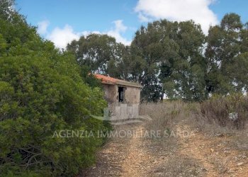 WhatsApp Image 2025-11-04 at 10.22.20.jpeg - Casale Alghero - foto 2