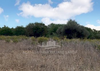 WhatsApp Image 2025-11-04 at 10.22.21 (2).jpeg - Casale Alghero - foto 4