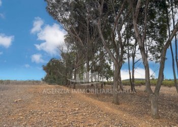 WhatsApp Image 2025-11-04 at 10.22.21 (5).jpeg - Casale Alghero - foto 6