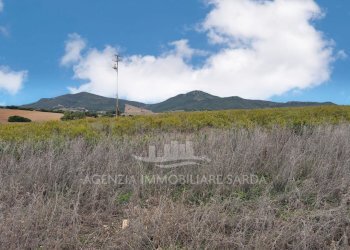 WhatsApp Image 2025-11-04 at 10.22.21 (6).jpeg - Casale Alghero - foto 7