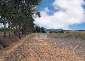 WhatsApp Image 2025-11-04 at 10.22.21 (7).jpeg - Casale Alghero - foto 8