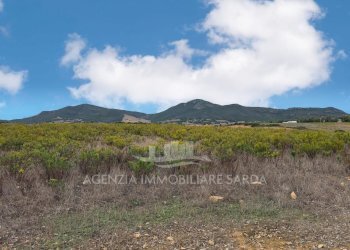 WhatsApp Image 2025-11-04 at 10.22.21 (8).jpeg - Casale Alghero - foto 9