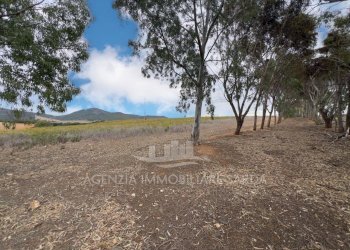 WhatsApp Image 2025-11-04 at 10.22.21 (9).jpeg - Casale Alghero - foto 10