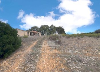 WhatsApp Image 2025-11-04 at 10.22.21 (10).jpeg - Casale Alghero - foto 11