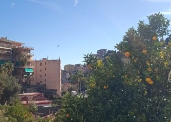 IMG20251105122214.jpg - Quadrilocale Sanremo - foto 21