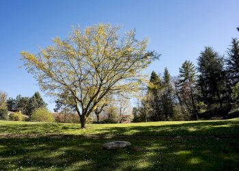 Appartamento in Villa Strada San Vincenzo, Torino (zona Borgo Po) - foto 24