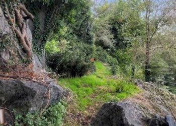 Villa Verrès - photo 28