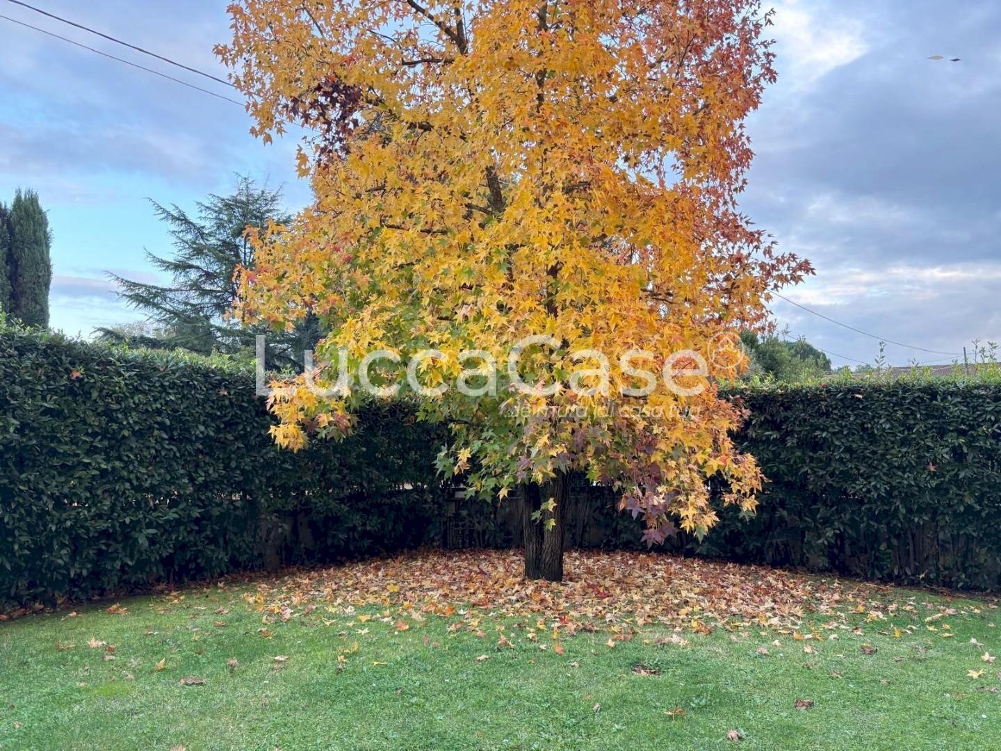 Villa a Schiera Porcari - foto 2