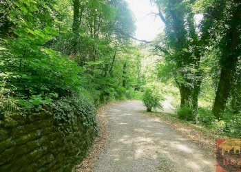 Villa Regione Carlevè 36, Villarbasse (TO), Villarbasse - foto 10