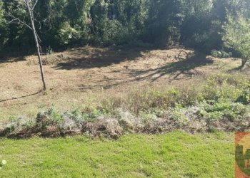 Villa Regione Carlevè 36, Villarbasse (TO), Villarbasse - foto 163