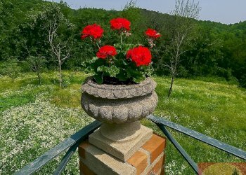 Villa Regione Carlevè 36, Villarbasse (TO), Villarbasse - foto 165