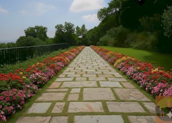 Villa Regione Carlevè 36, Villarbasse (TO), Villarbasse - foto 171