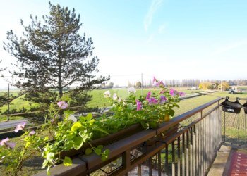 Villa Via della Pace, Sala Bolognese - foto 11