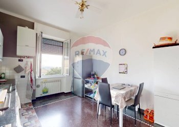 One-room apartment via coronata, 30
Cornigliano Coronata, Genova (neighborhood Cornigliano) - photo 26