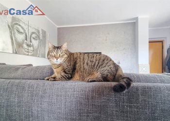 Appartamento via aldo moro, Osimo - foto 9