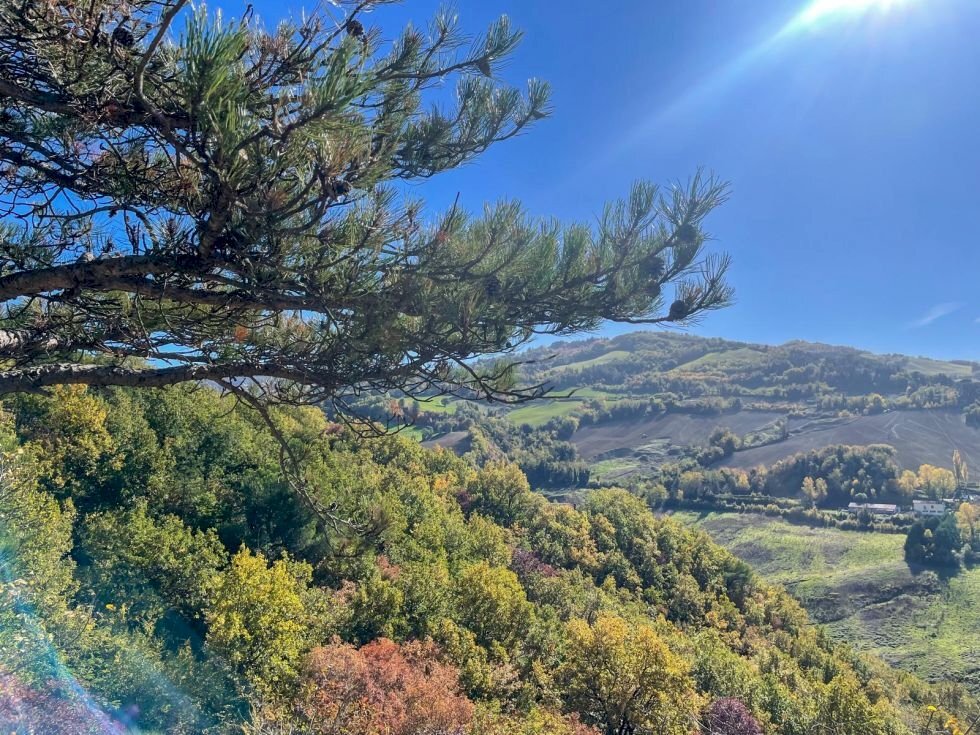 Villa Fontanelice - photo 2