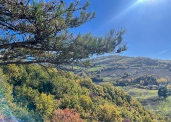 Villa Fontanelice - foto 2