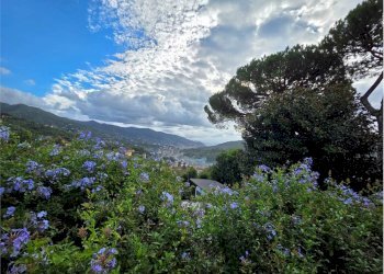 Appartamento Rapallo - foto 17