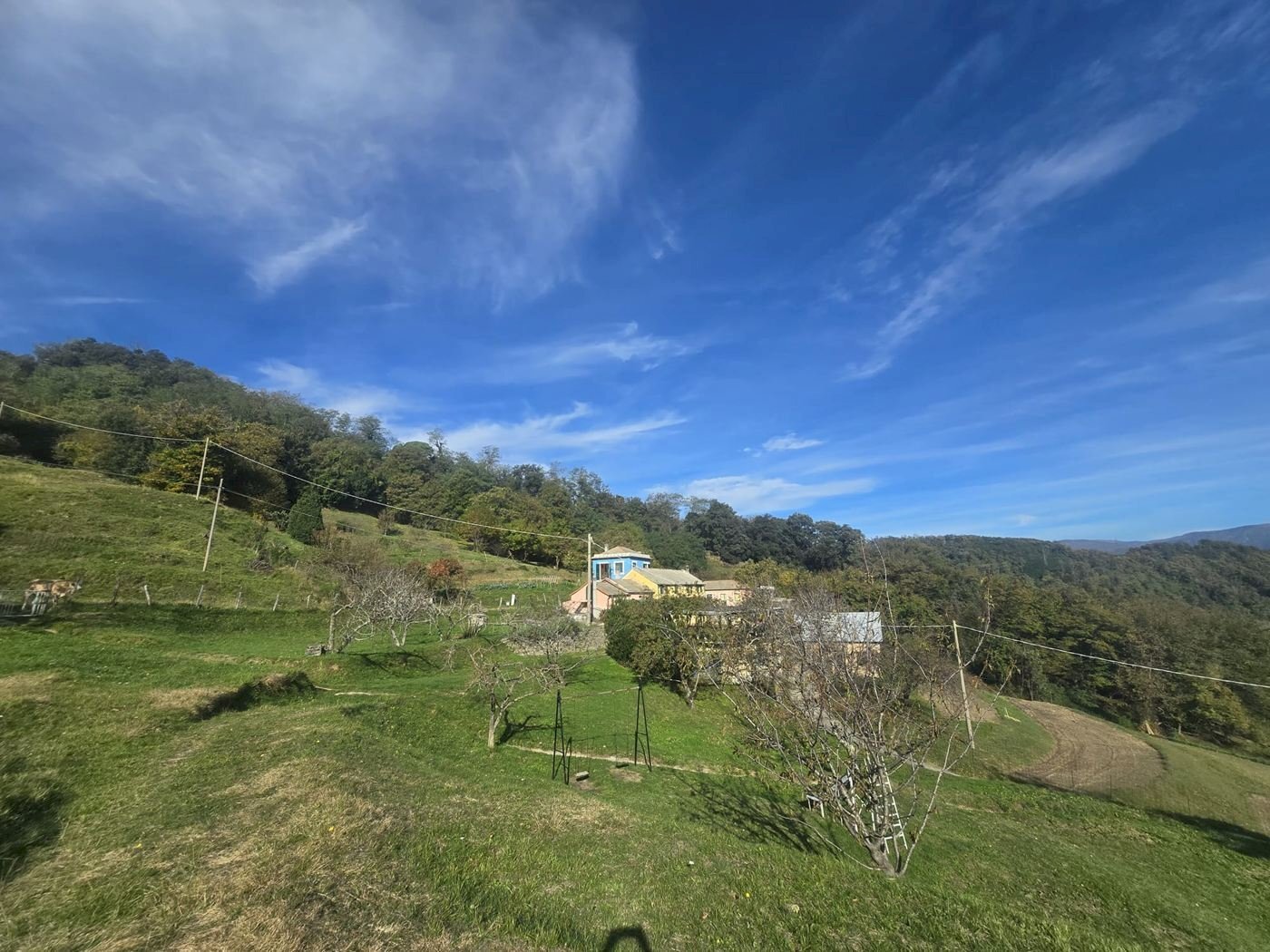 Villetta VIA SUPERIORE DELL'OLBA, Genova - foto 3