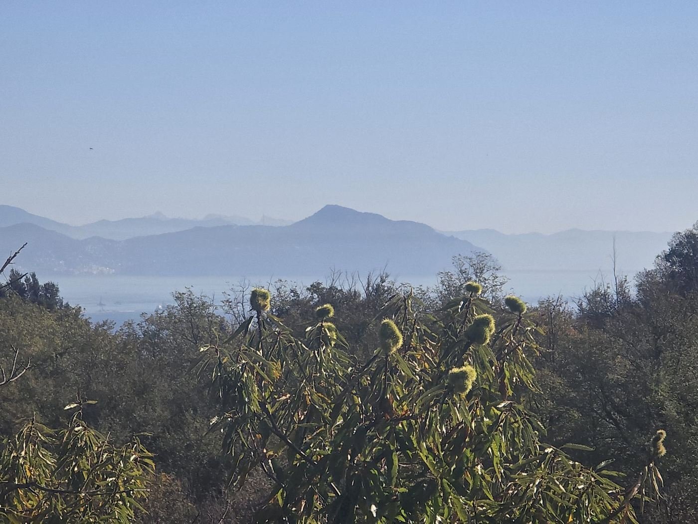 Villa Unifamiliare VIA SUPERIORE DELL'OLBA, Genova - foto 2