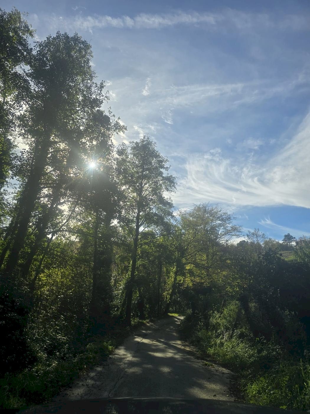 Villa Unifamiliare VIA SUPERIORE DELL'OLBA, Genova - foto 3