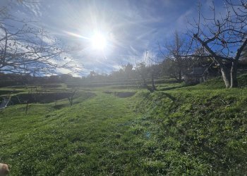 Villa Unifamiliare VIA SUPERIORE DELL'OLBA, Genova - foto 1